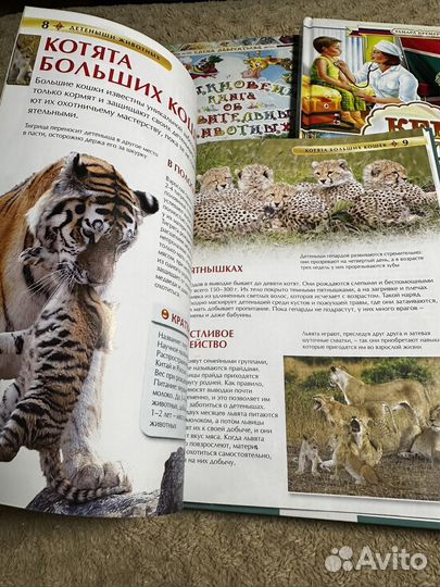 Книги энциклопедия для детей