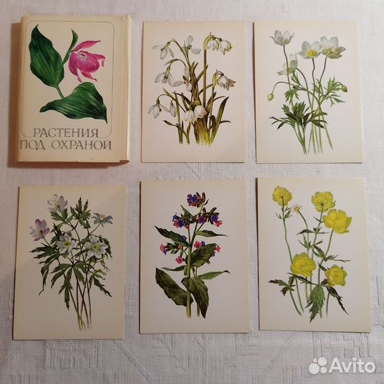 Набор винтажных открыток 