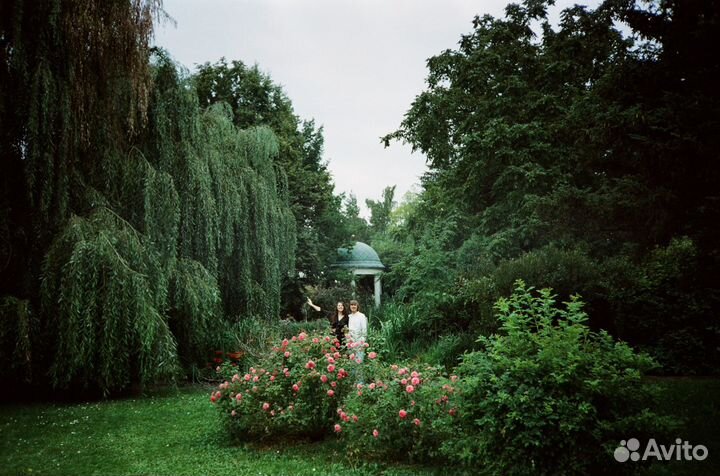 Плёночный фотоаппарат olympus trip