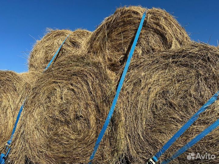 Продажа сена с доставкой