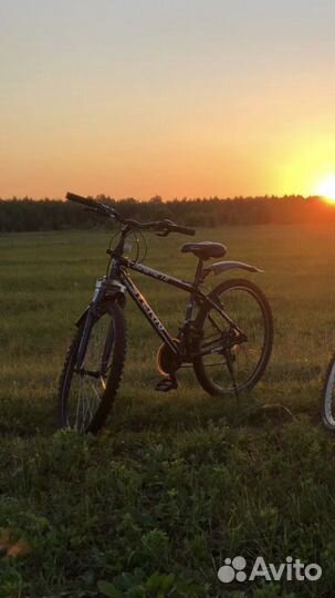 Велосипед stern dynamic 1.0