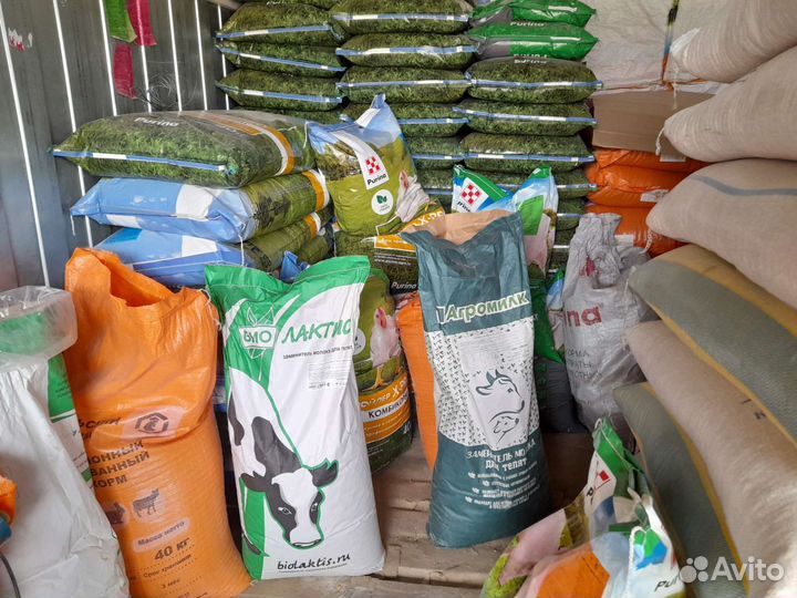 Товары для животных