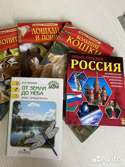 Книги для младших школьников