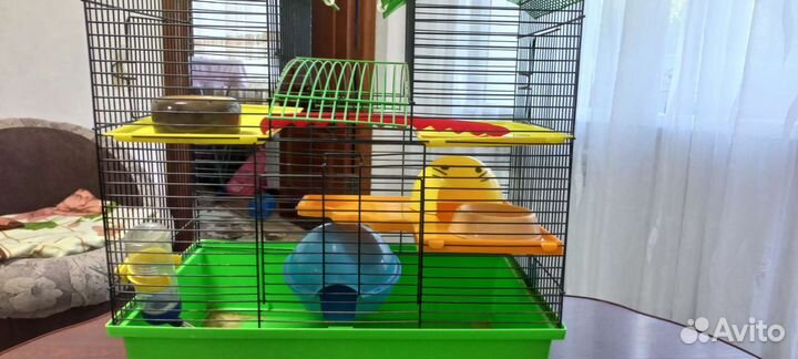 Клетка для грызунов очень большая