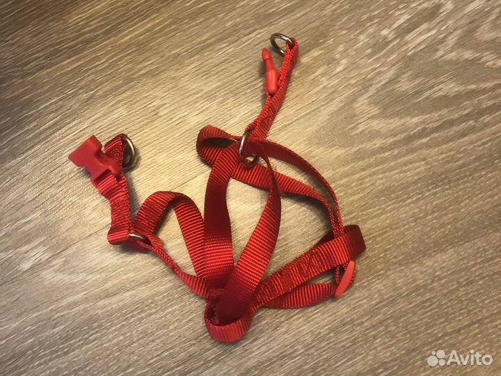 Аксессуары для собак бу