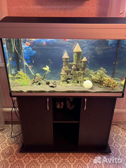 Аквариум под ключ