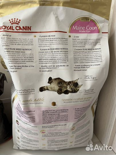 Корм ддя котят Мейн кун Royal Canin