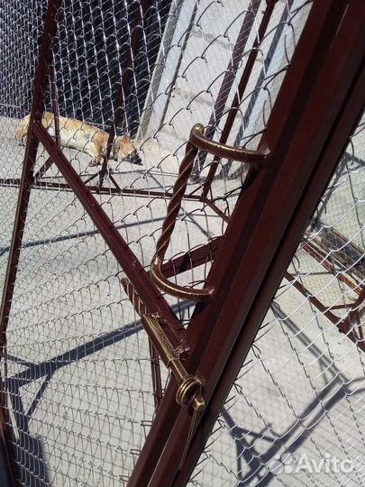 Вольер для собак уличный