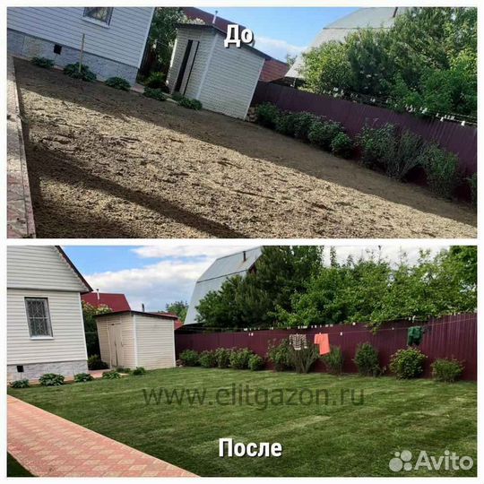 Рулонный газон от производителя