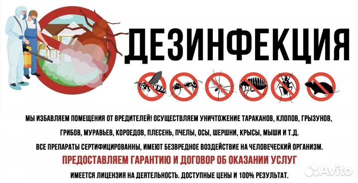 Дезинфекция