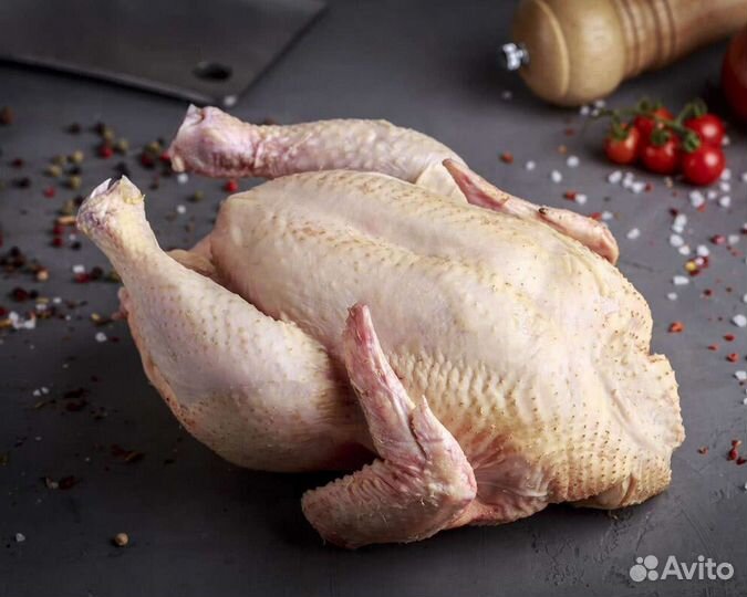 Блолеры куры утки