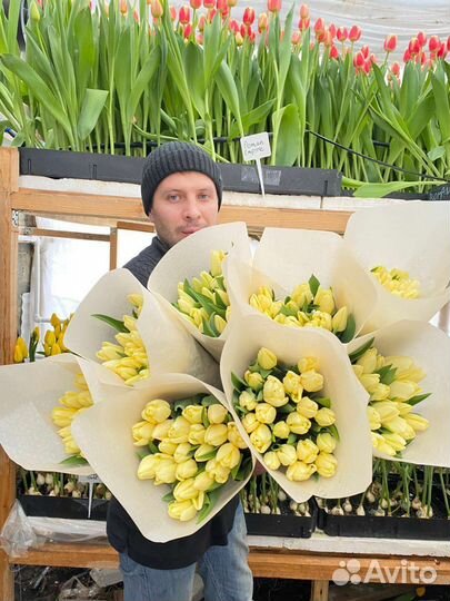 Тюльпаны на 8 марта оптом