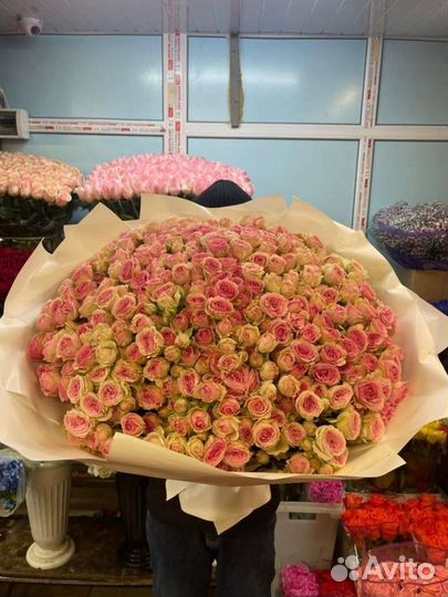 101 роза кустовая букет цветов доставка девушке