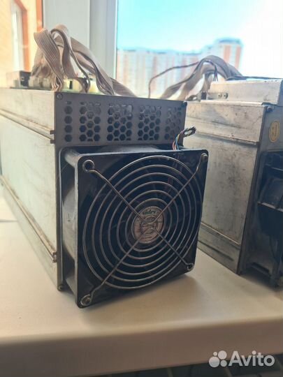 Asic antminer l3