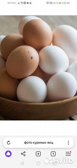 Яйцо домашнее