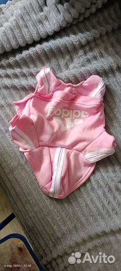 Кофта для маленькой собачки