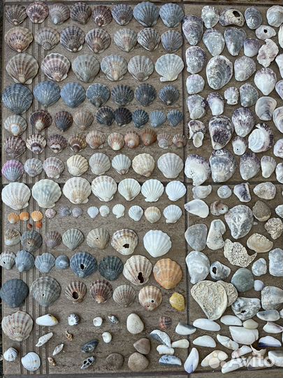 Ракушки морские камни стекло для рукоделия