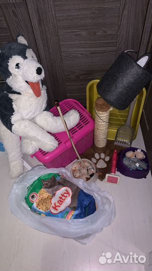 Когтеточка. Набор для котенка. За всё