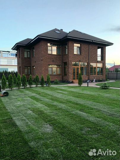 Рулонный газон