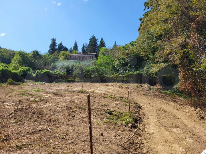 Участок 8 сот. (СНТ, ДНП)