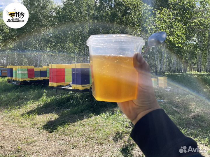 Мед свежий 2023. Гречишный, липовый, акациевый