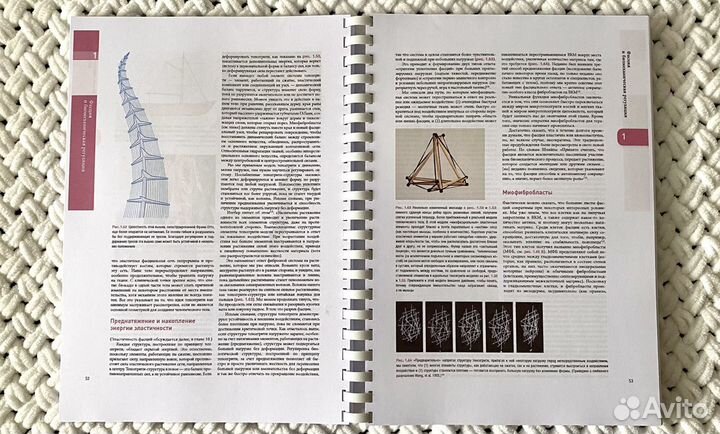 Анатомические поезда