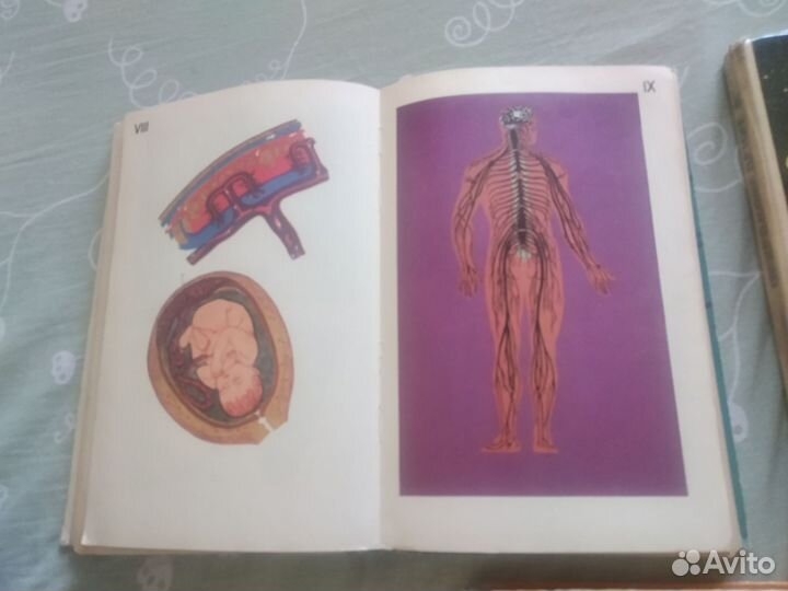 Продам учебники СССР