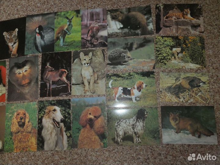 Открытки СССР