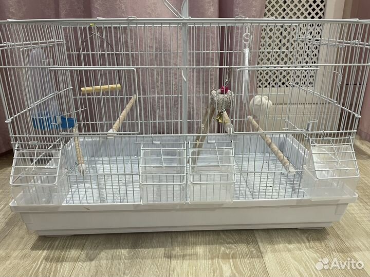 Клетка для одного/двух попугаев