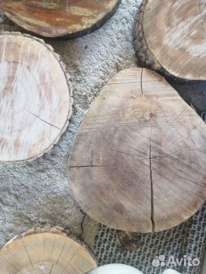 Дубовые спилы