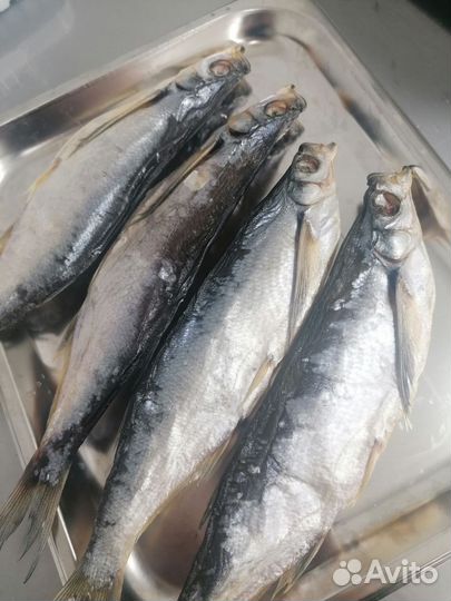 Вяленая рыба