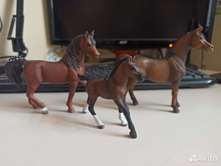 Лошади шляйх