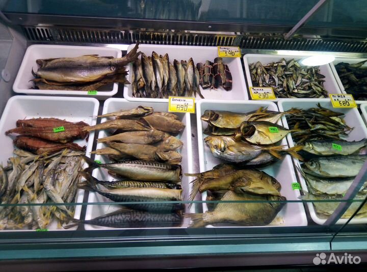 Карп живой