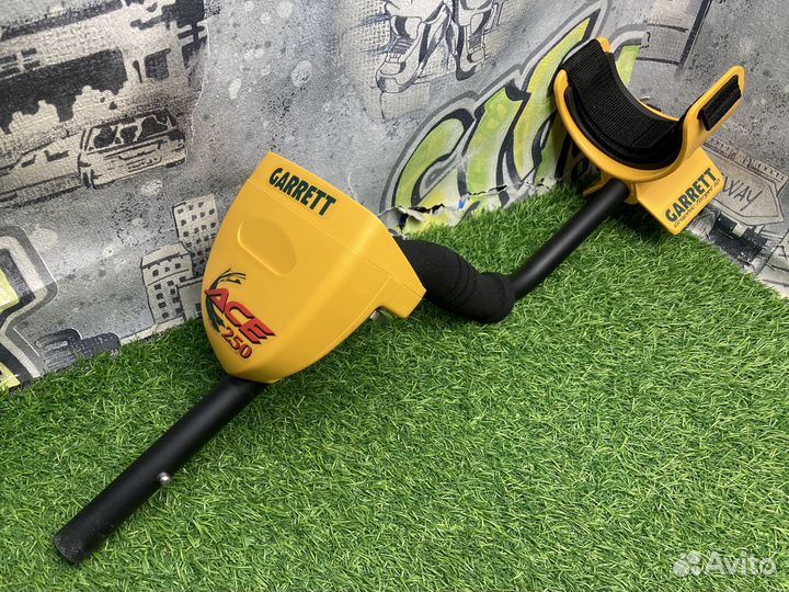 Garett ACE 250 Покупка/Продажа