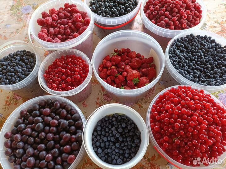 Компоты домашние