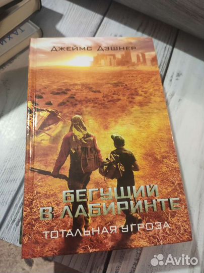 Джеймс Дэшнер. Бегущий в лабиринте