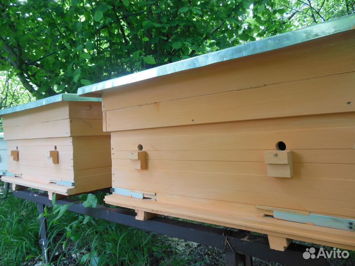 Рамки для пчел, улья-лежаки, рамоносы