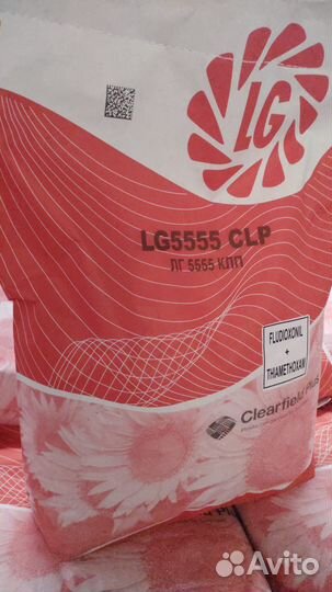 Гибрид подсолнечника лг 5555 клп Лимагрейн