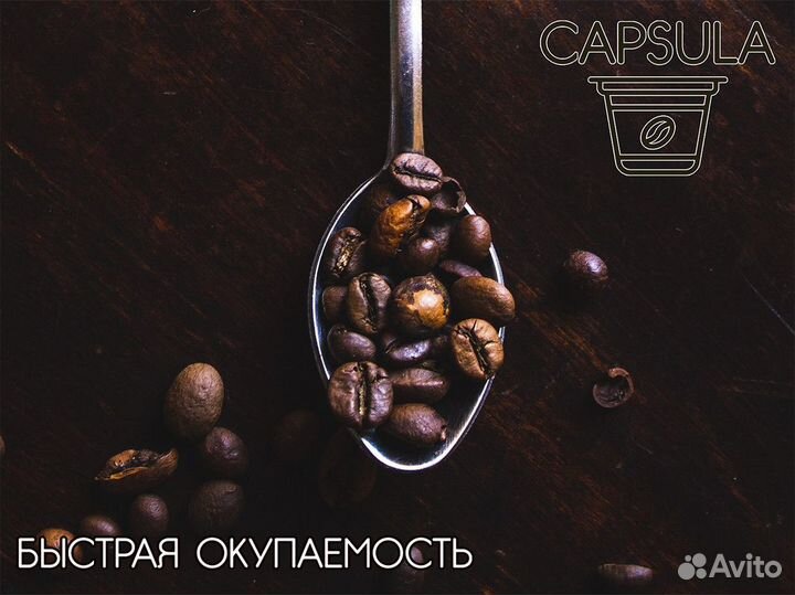 Capsula: путь к вашему бизнесу