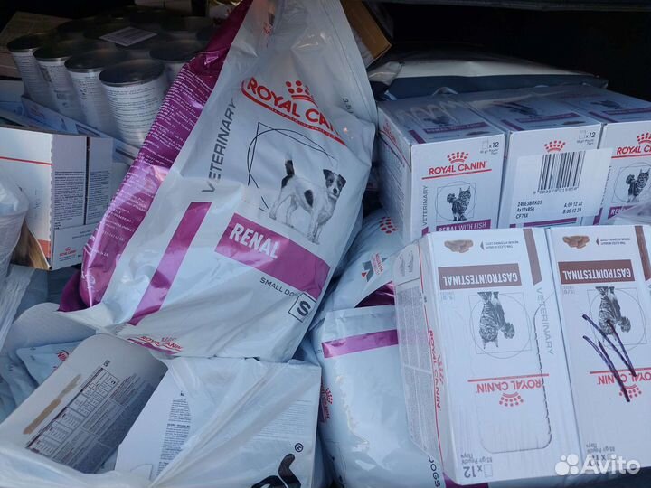 Корм для собак роял канин