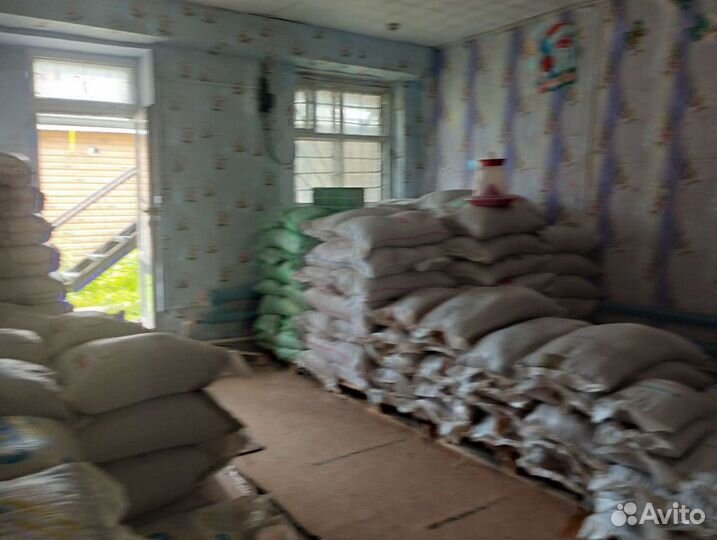 Корма на ковровой