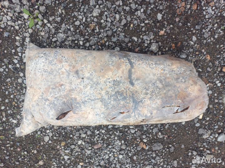 Грибные блоки (вешенка)