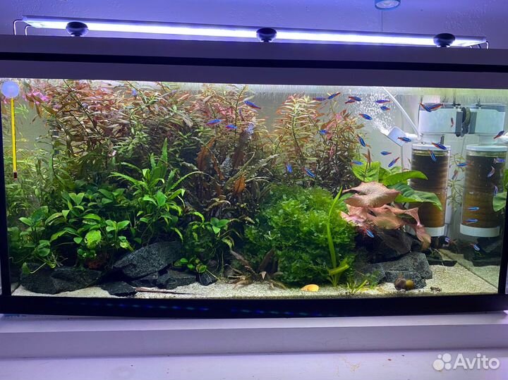 Аквариум 110 л копия Juwel Primo 110