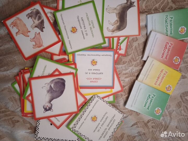 Книга Домашняя школа Монтессори с карточками