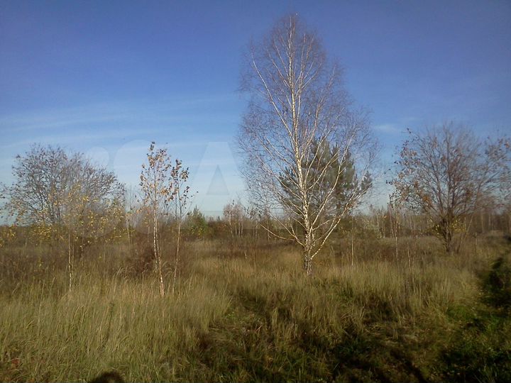 Участок 6 сот. (СНТ, ДНП)