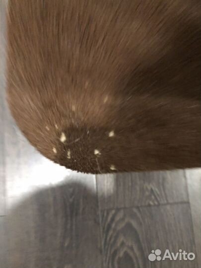 Кошачий домик с когтеточкой