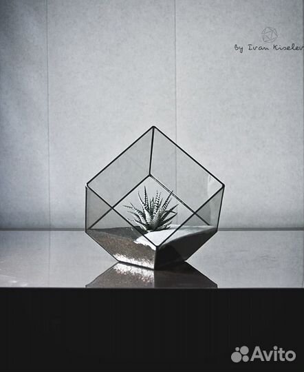 Флорариум, подарок