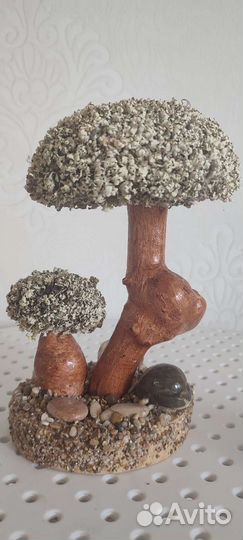 Дерево бонсай живое