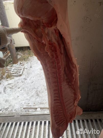 Молодая свинина без сала V.I.P (выборка)