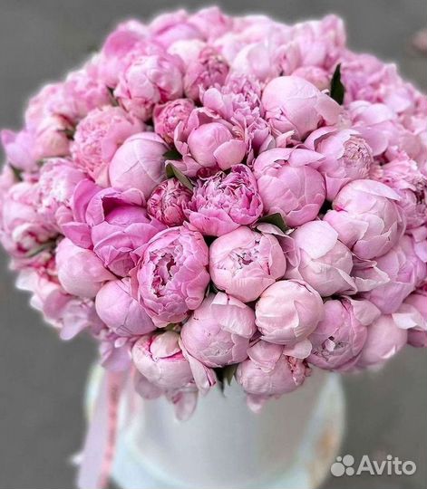 Пионы Цветы Доставка